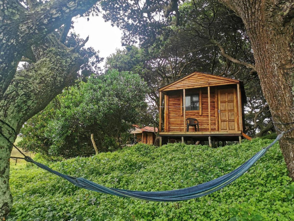 Bulungula Xhosa Community Lodge الغرفة الصورة